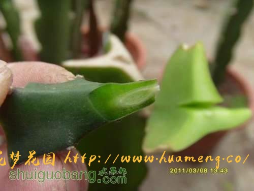 调整大小 调整大小 SI851183.JPG